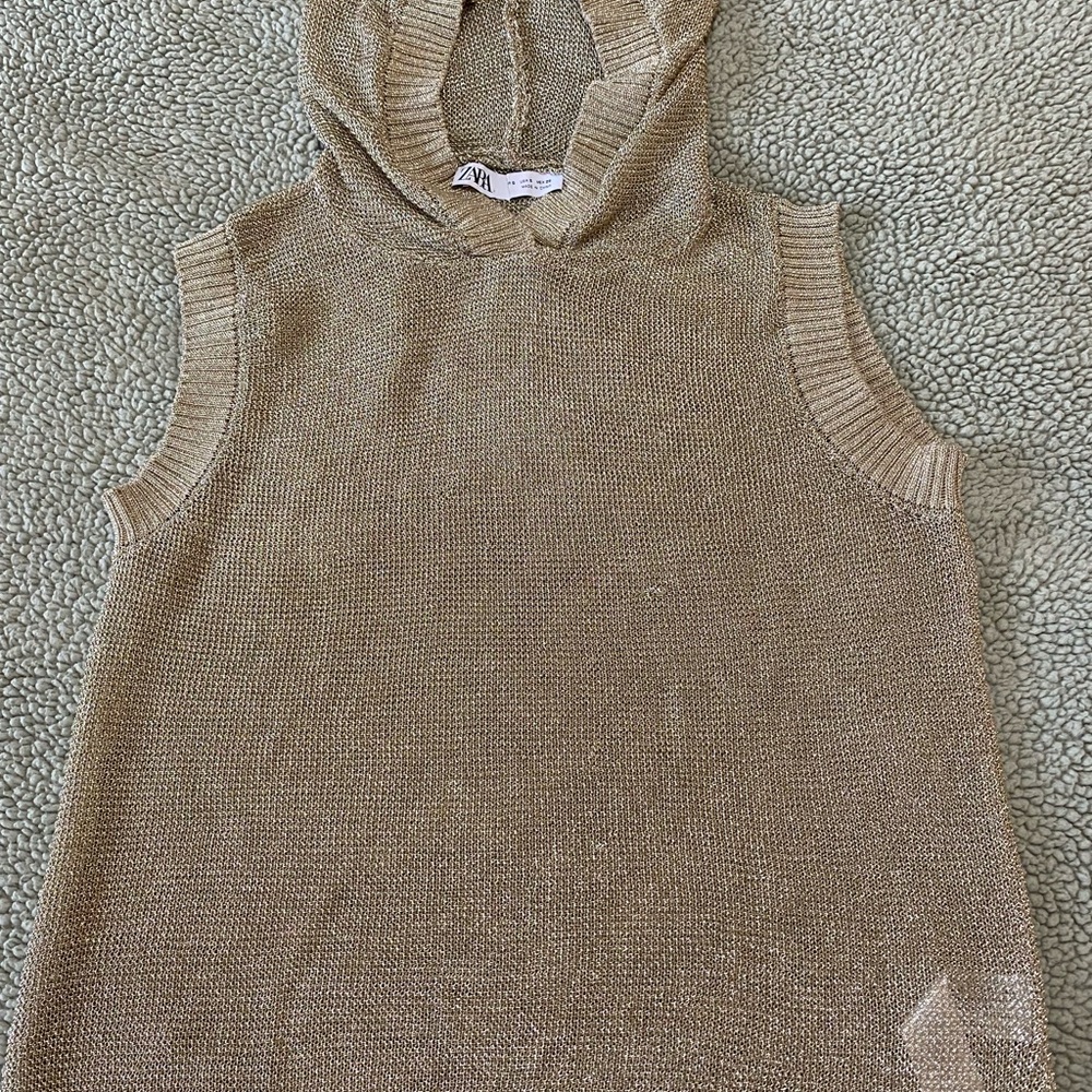 Zara Sleeveless Hooded Knit Top in Metallic Gold Beige